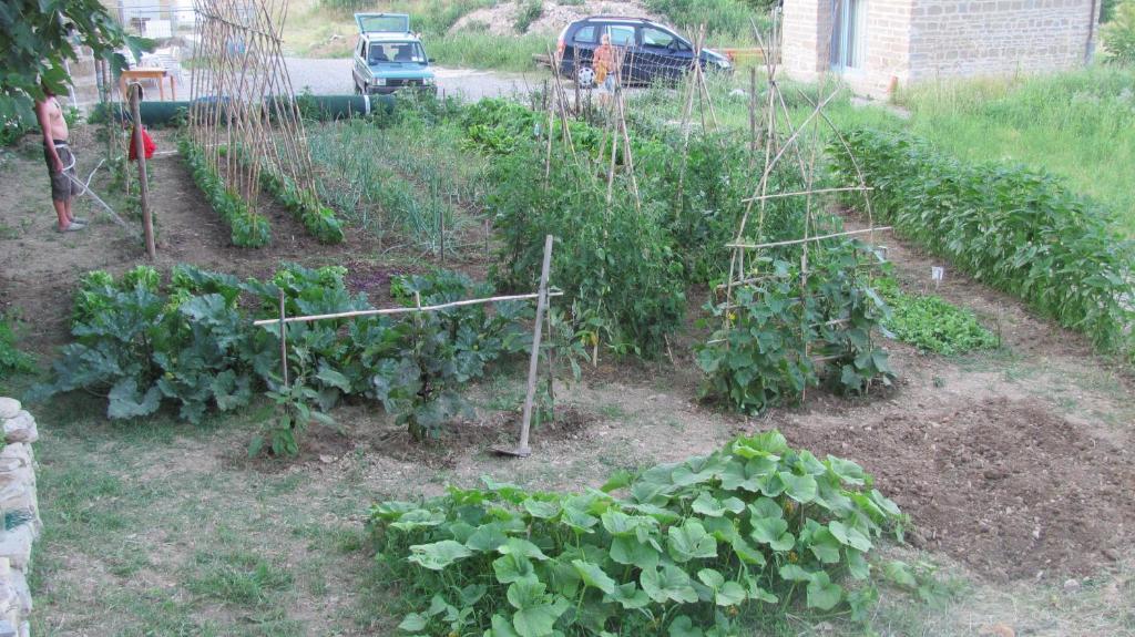 La Della Campanara Bed and breakfast